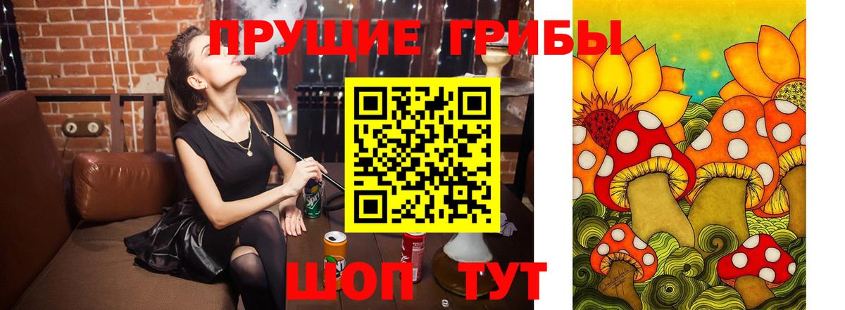 Псилоцибиновые грибы мухоморы  Вход с VPN  Качканар  Псилоцибиновые грибы MAGIC MUSHROOMS 